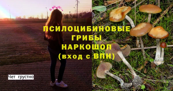 спайс Баксан