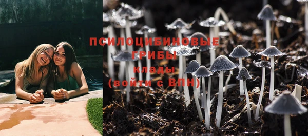 спайс Баксан